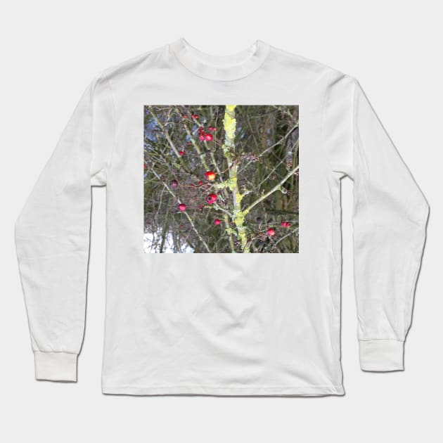 Red berries Long Sleeve T-Shirt by robelf